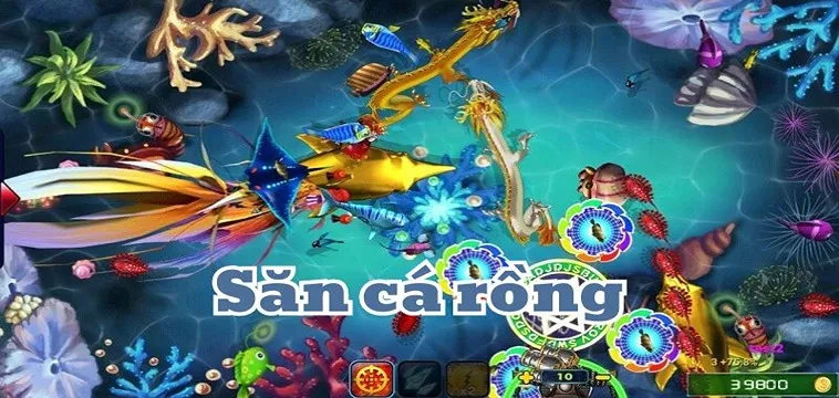 Cách Chơi Bắn Cá Rồng Tại BET168 Hiệu Quả Nhất Cho Cược Thủ